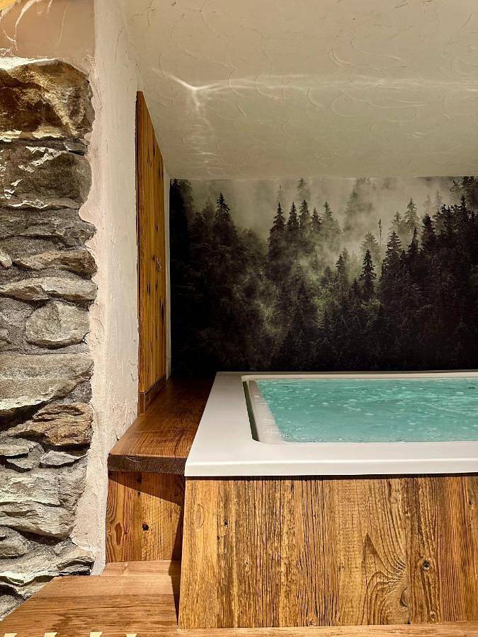 Chambre d’hôte pour 4 personnes, avec vue ainsi que sauna et terrasse, animaux acceptés