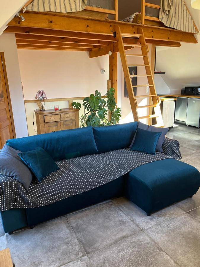 Gîte pour 4 personnes, avec vue et jardin, animaux acceptés à Génos - 2