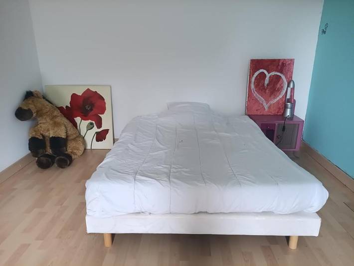 Gîte pour 2 personnes, avec vue, animaux acceptés à Elliant - 4