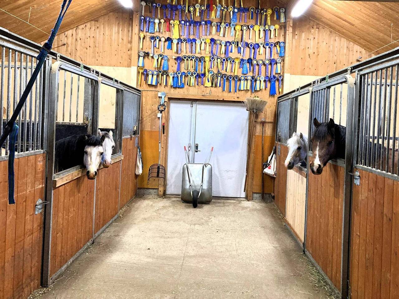 4 Personen Ferienhaus in Burträsk in Skelleftea, Västerbotten