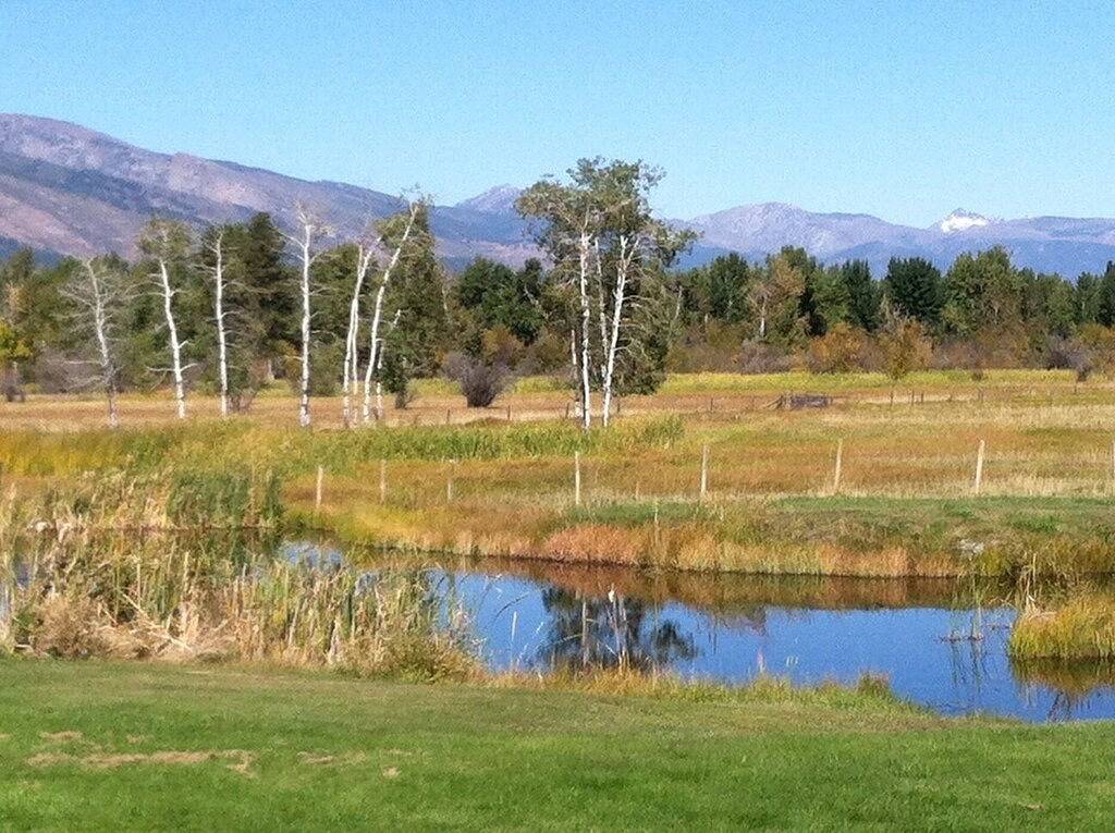 Die Ponds-A Working Ranch in Ravalli County
