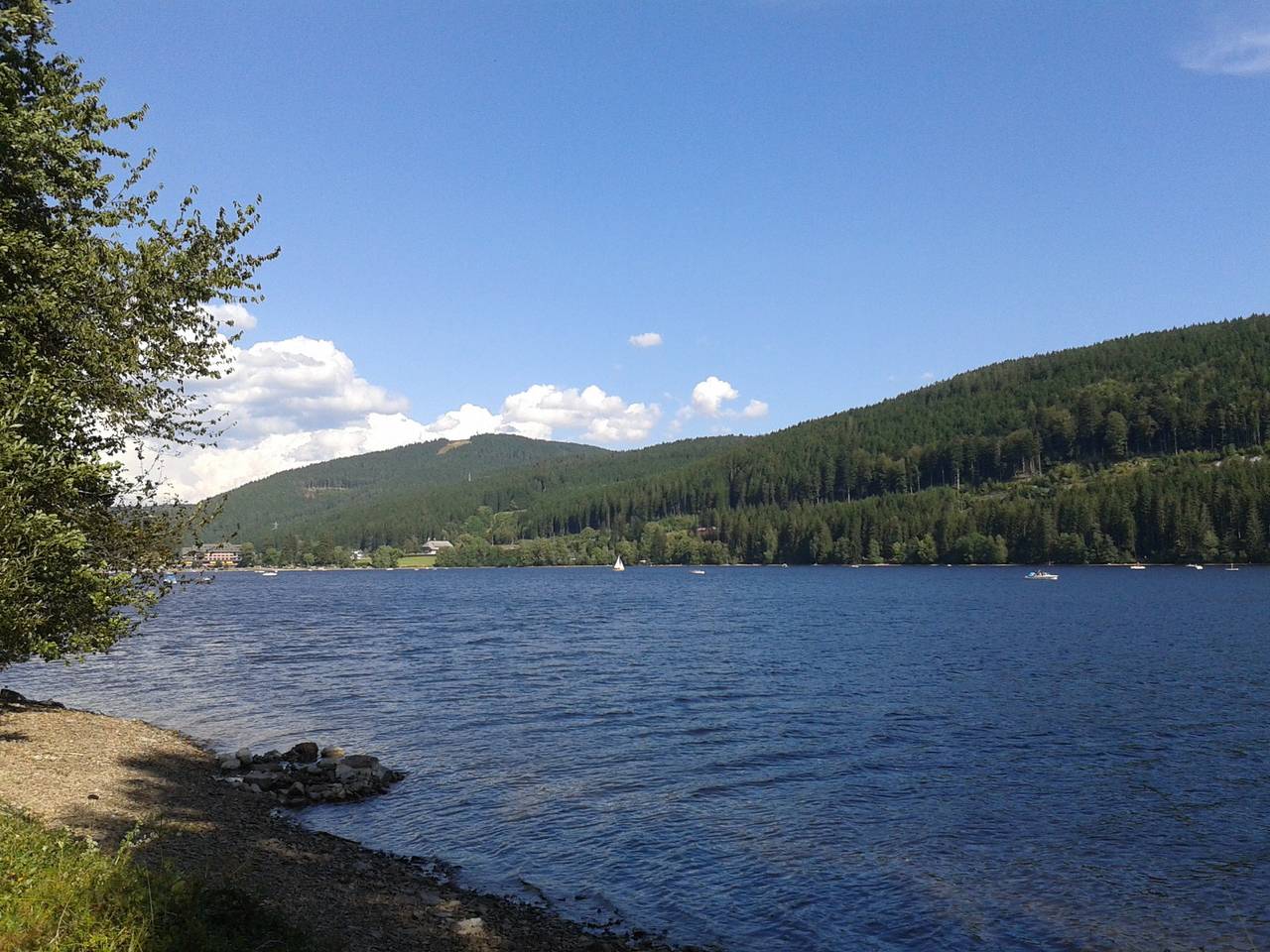 Gasthaus Rehwinkel - Silberdistel Typ A 2 Personen in Titisee (Titisee-Neustadt), Titisee-Neustadt
