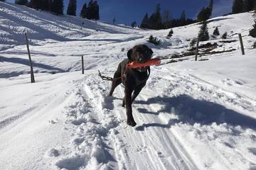 Hütte für 5 Personen in Häselgehr, Lechtal, Bild 4