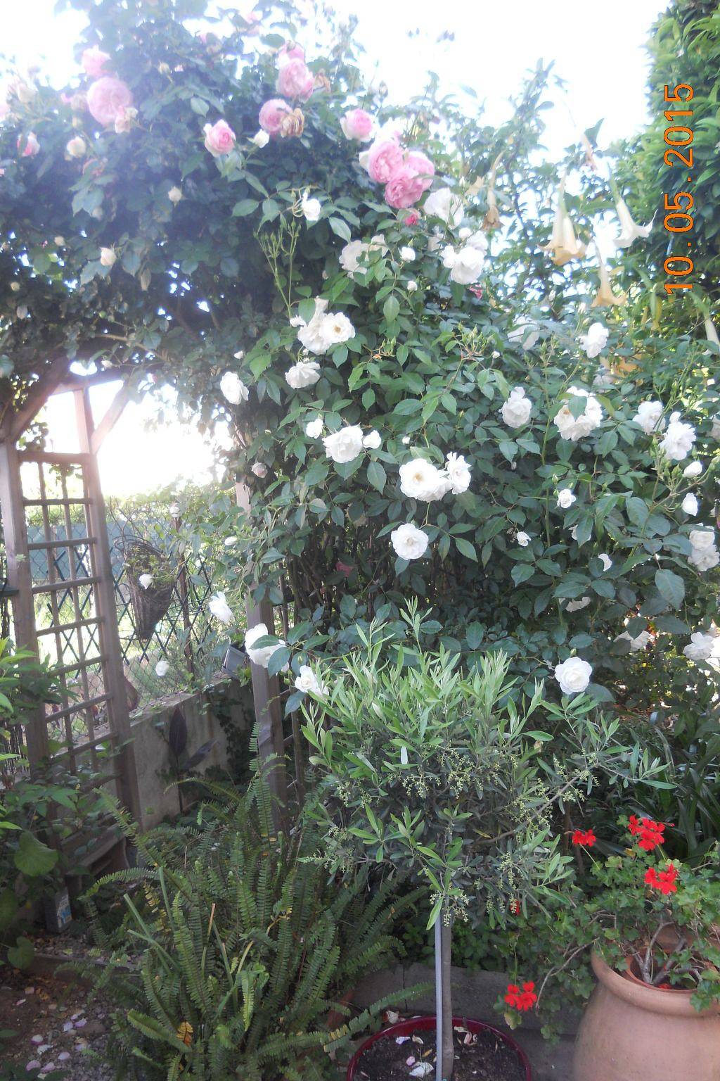 Appartement entier, Wohnung "Les roses" auf einem eingemauerten Grundstück in Saint-Laurent-du-Var, Côte méditerranéenne (France)