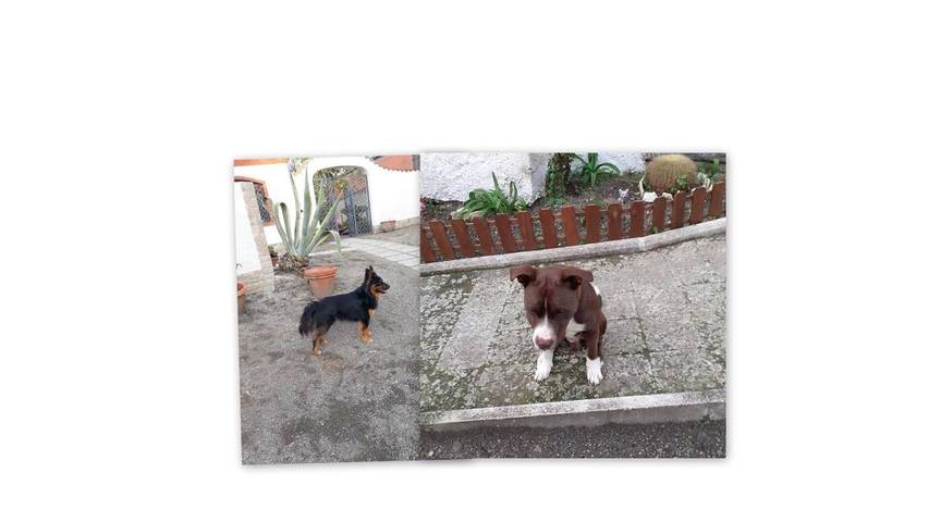 B&b per 4 persone, con panorama e giardino, adatto a famiglie con bambini in Boscotrecase