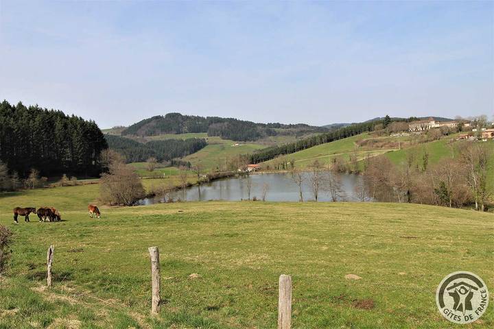 Gîte pour 6 personnes, avec jardin et piscine dans Rhône - 4