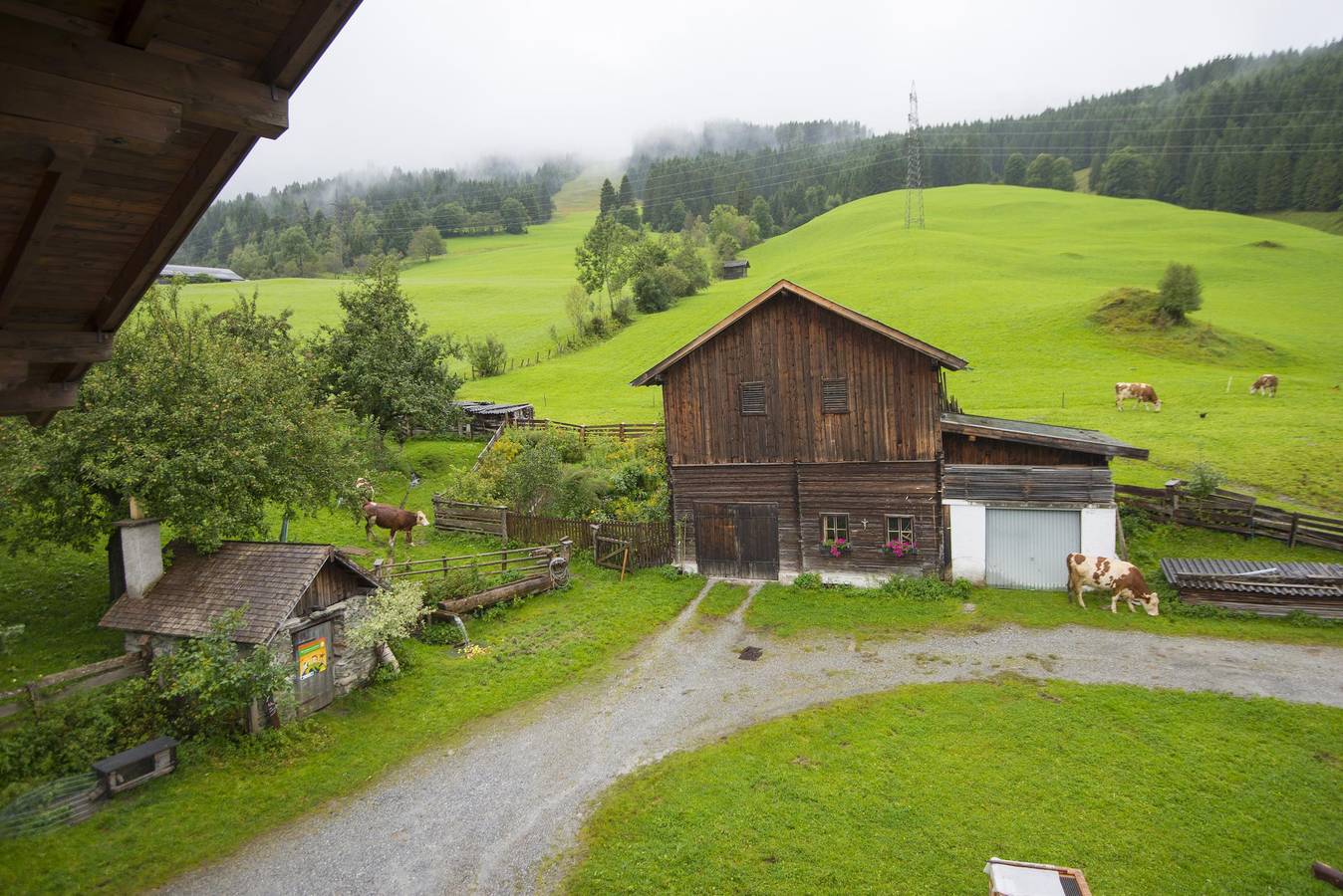 Appartement Bergblick - 2 Schlafzimmer in Bad Hofgastein, Ski Amadé