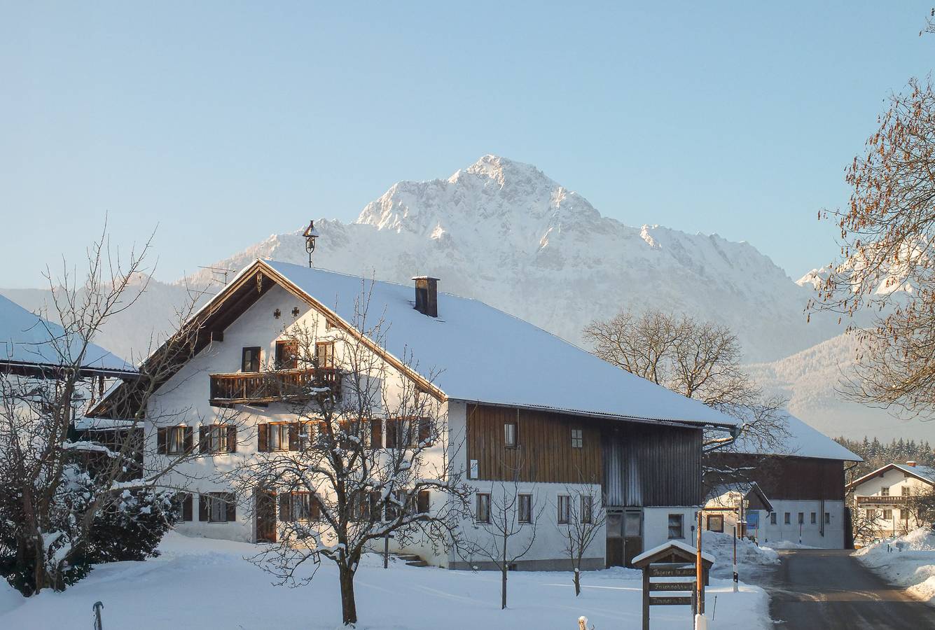 Mayerbauer - Ferienwohnung 3, 42 qm mit 1 Schlafzimmer, Wohnküche, Balkon in Piding, Bayerische Alpen