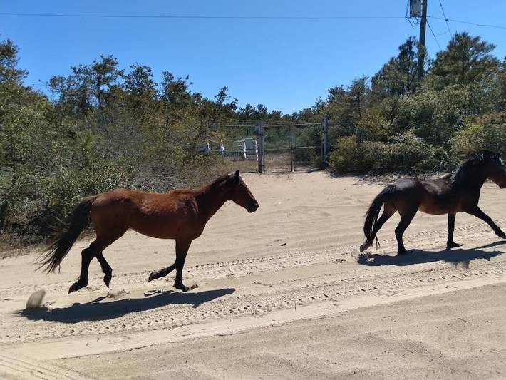 Cottage for 4 people, with terrace in Outer Banks