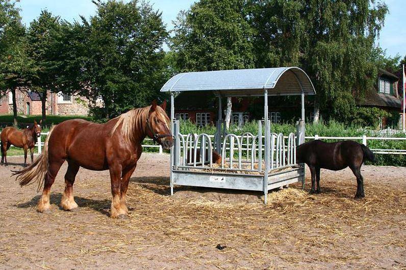 Ganze Ferienwohnung, Neptun in Vollerwiek, Eiderstedt
