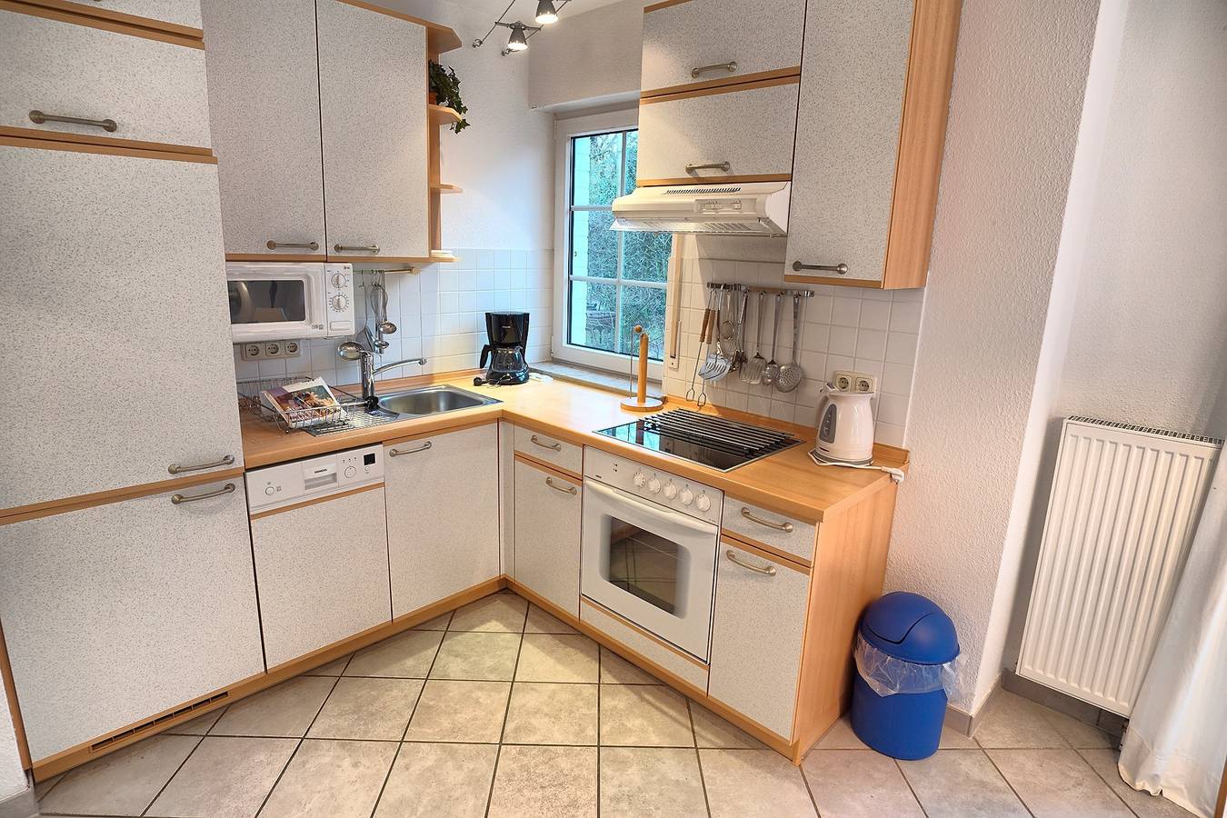 Strandbiene in Ostseebad Zingst, Zingst