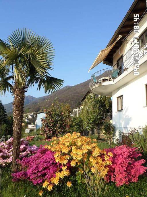 Ferienhaus für 6 Personen, mit Garten und Ausblick sowie Seeblick in Brissago - 4