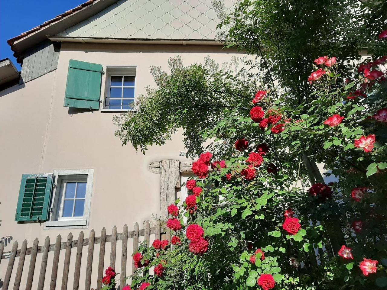 Anna Schmid Puurehuus in Schaffhausen, Kanton Schaffhausen