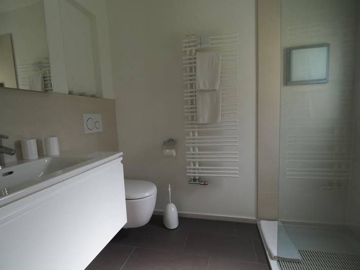 Ferienwohnung für 4 Personen, mit Garten und Sauna in La Punt-Chamues-ch - 4