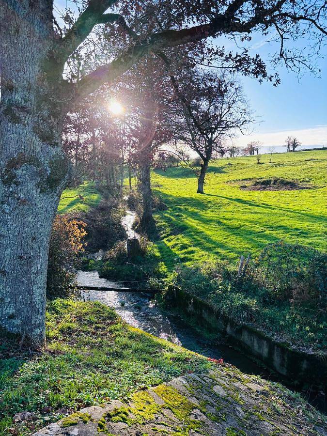 Chambre d’hôte pour 2 personnes, avec piscine ainsi que jardin et jacuzzi dans Haute-Vienne - 4