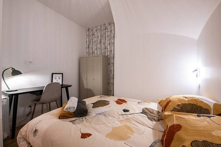 Entire apartment, Lassagne 3 -Beautiful new apartment in city center in Lyon, Lyon region