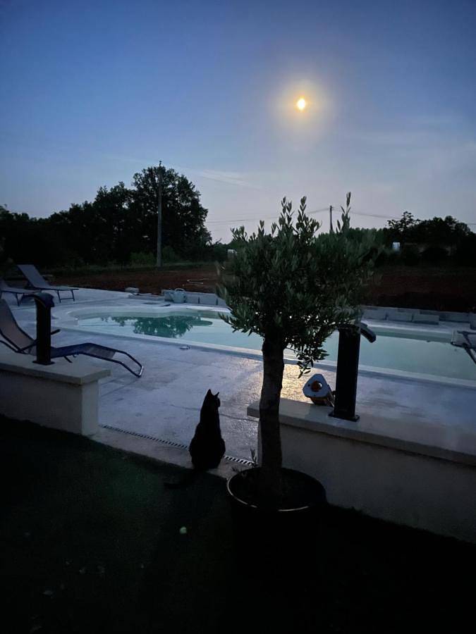 Location de vacances pour 9 personnes, avec jardin ainsi que piscine et jacuzzi à Saint-Vincent-le-Paluel - 4