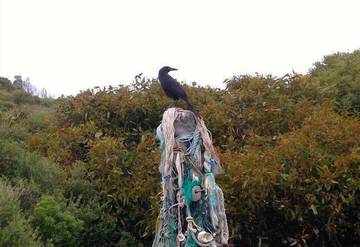 Holiday Home for 8 People in Vivonne Bay, Kangaroo Island, Photo 3