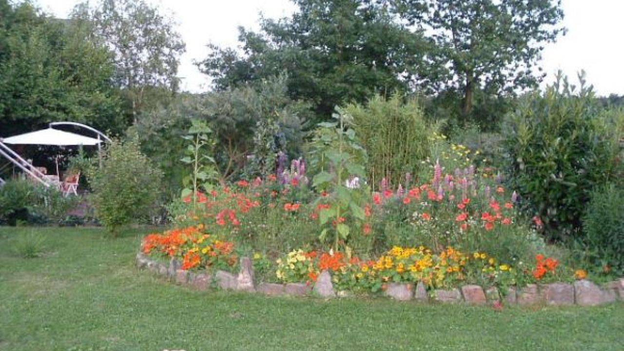 Geheel vakantieappartement, Vakantieappartement voor 4 personen met tuin in Mittelstrimmig, Cochem-Zell