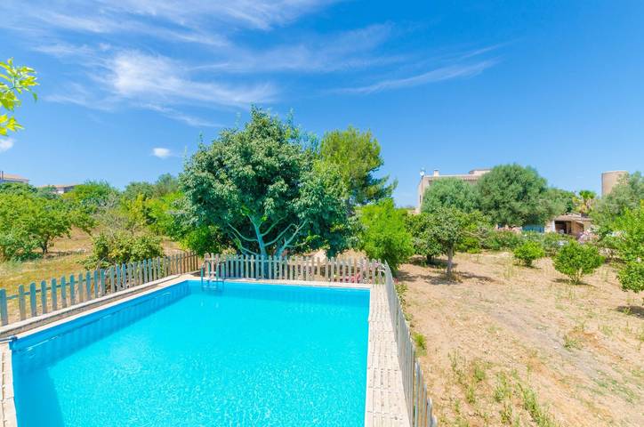 Finca für 8 Personen, mit Terrasse in Porreres - 3