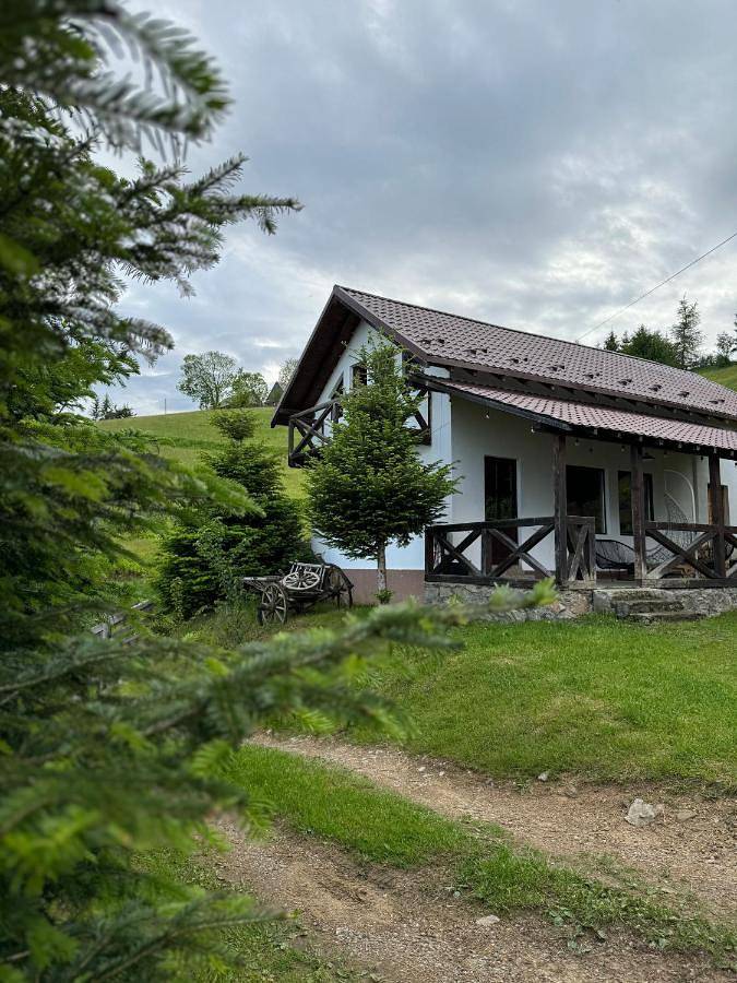 Dom dla 11 osób, z taras i widok, zwierzęta dozwolone w Kluż-Napoka