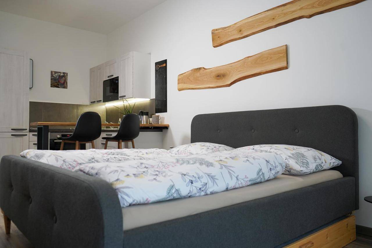 Ganze Wohnung, Hofmann Apartment in Cheb, Karlsbad und Umgebung