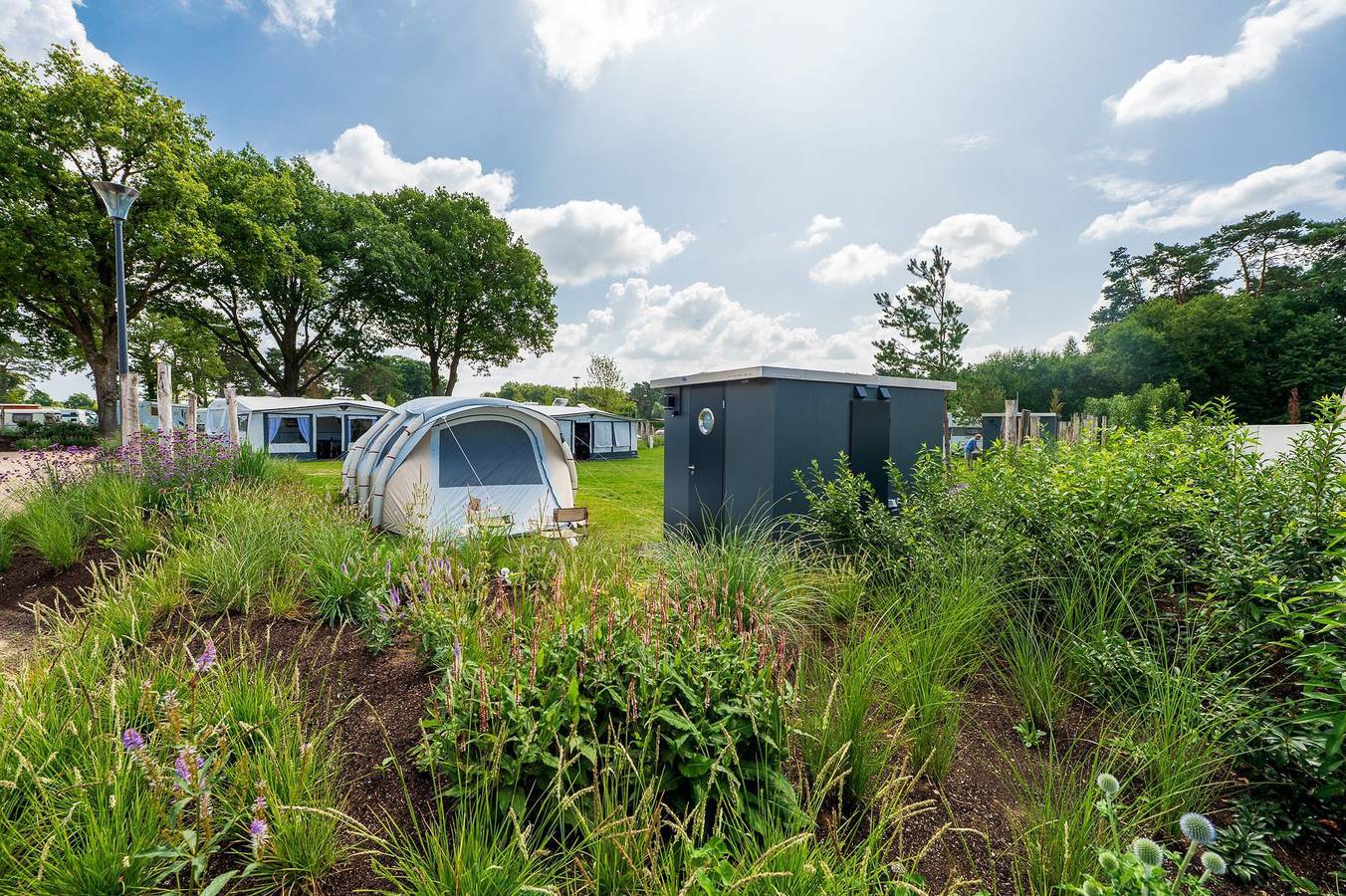 Modernes Chalet für 6 Personen in Brüggen, Niederrhein