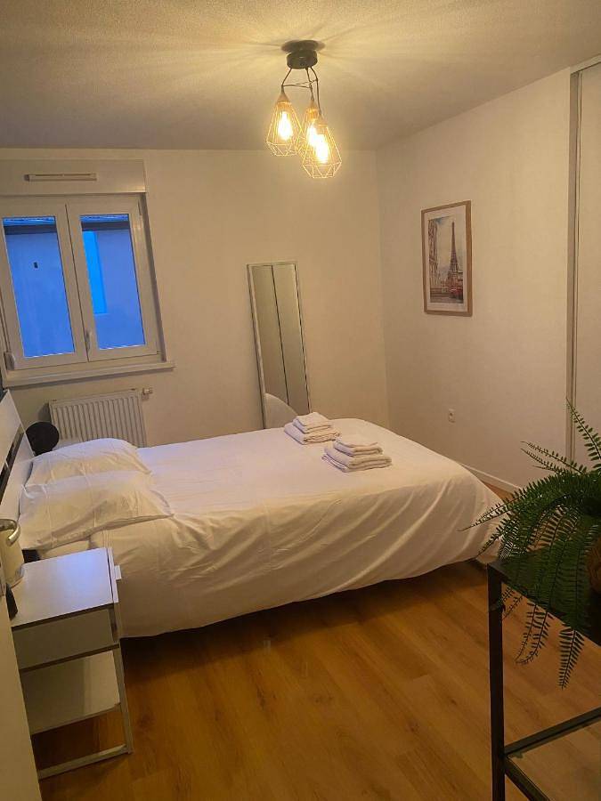 Gîte pour 4 personnes, avec terrasse à Plobsheim - 4