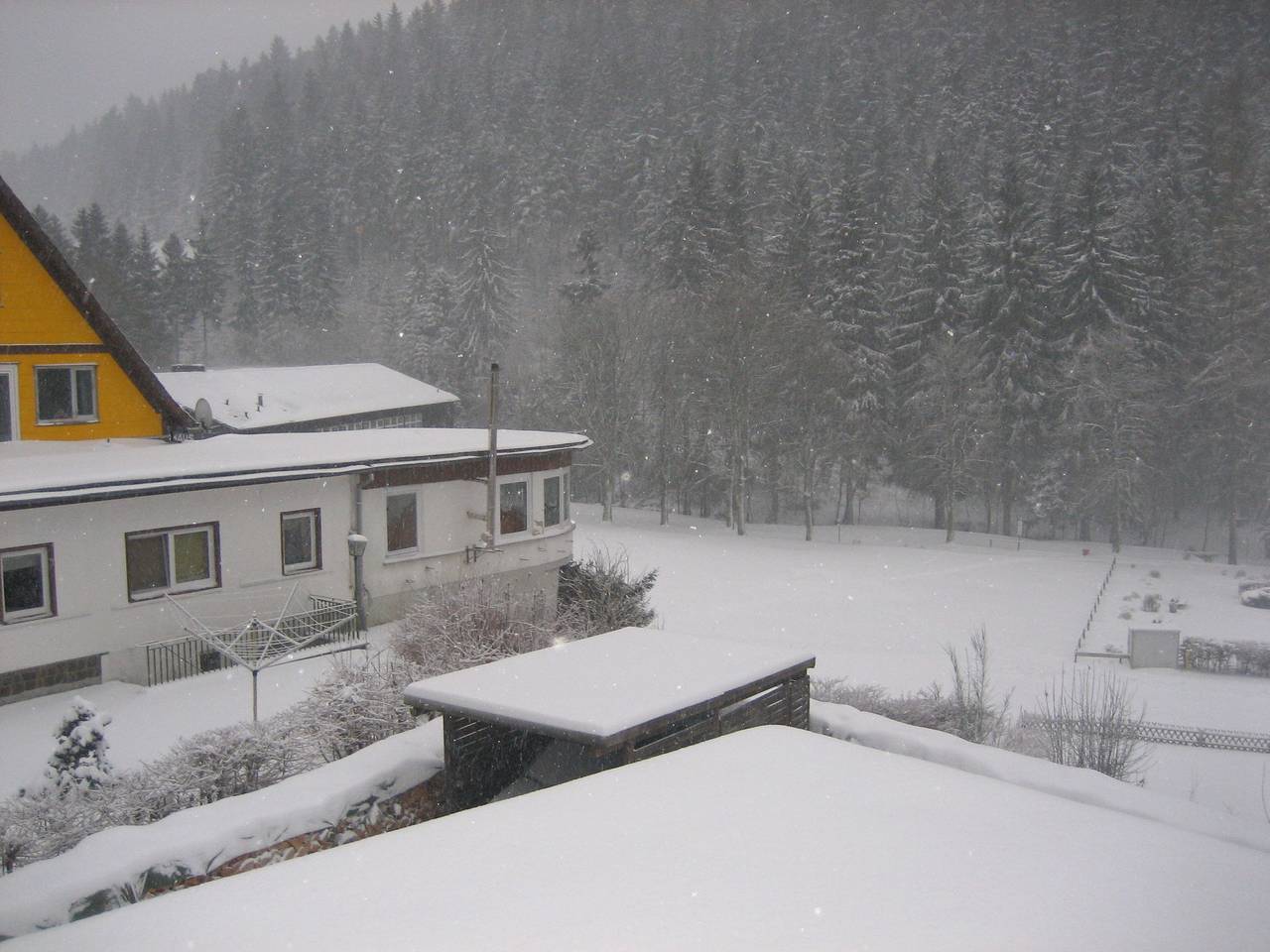 Ganze Wohnung, Wald-Ferienwohnung in Wildemann in Wildemann, Harzvorland