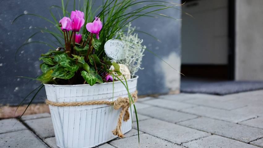 Gîte pour 4 personnes, avec jardin et terrasse, adapté aux familles à Boos