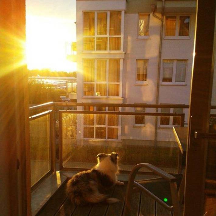 Ferienhaus für 4 Personen, mit Terrasse, mit Haustier in Großenbrode