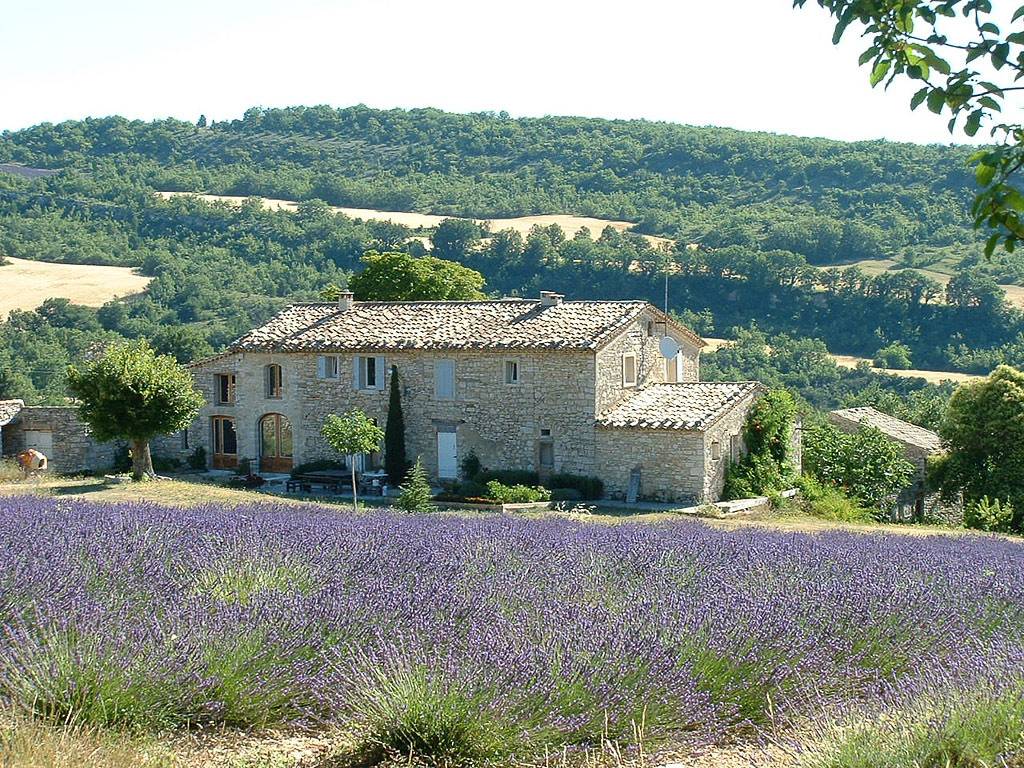 Marronnier in Vachères, Regionaler Naturpark Luberon