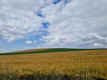 Feriehus til 4 Personer i Møn, Bilde 3