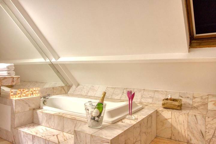 Gîte pour 2 personnes, avec terrasse ainsi que jardin et sauna à Saint-Prix (Val-d'Oise) - 4