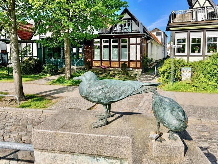 Strandhaus für 5 Personen, mit Terrasse und Meerblick in Warnemünde