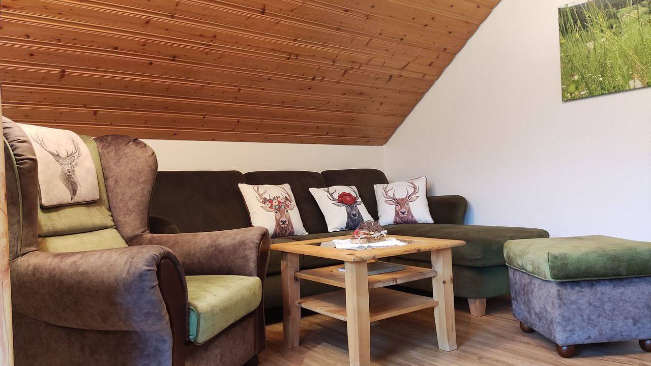 Ganze Ferienwohnung, Ferienwohnung für 3 Personen (50 m²) in Oberharmersbach in Oberharmersbach, Mittlerer Schwarzwald