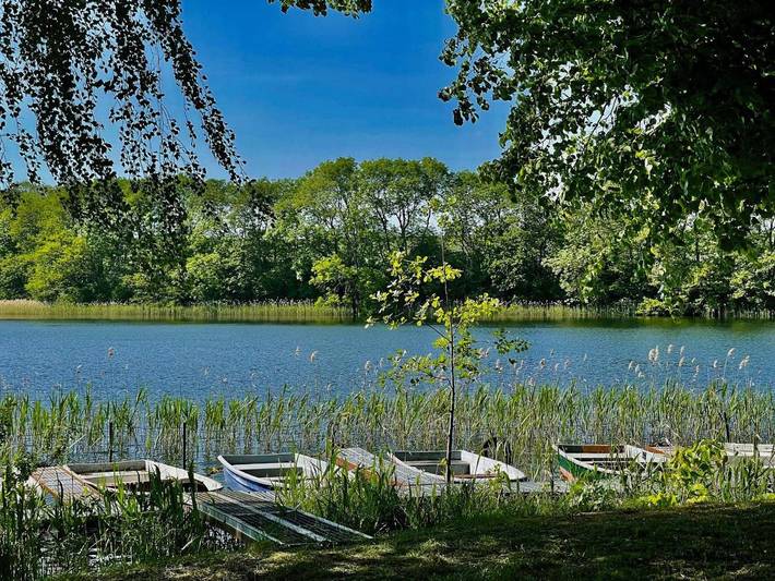 Ferienhaus für 5 Personen, mit Terrasse und Garten in Grabowhöfe - 2