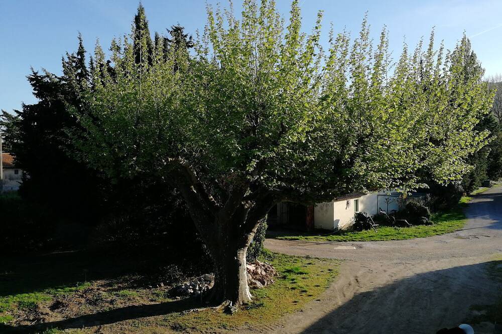 Cottage of two plane trees between Alpilles and Luberon in Orgon, Arles region