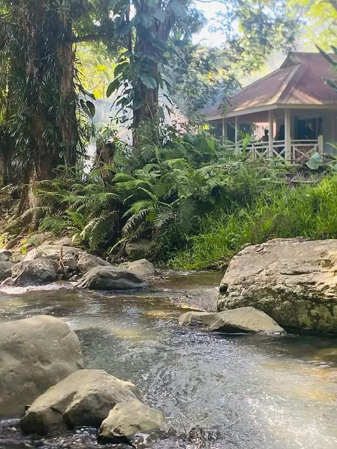 Lodge pour 3 personnes, avec vue et terrasse, animaux acceptés - 1