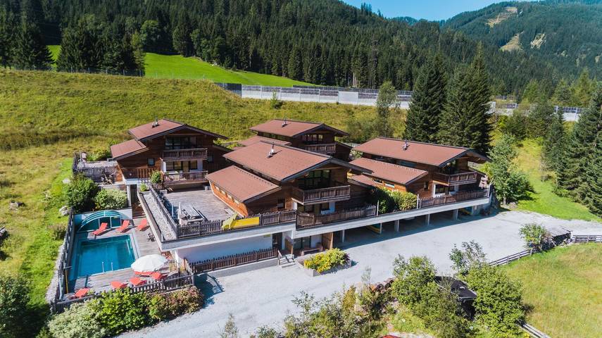 Chalet für 18 Personen, mit Terrasse und Sauna, mit Haustier in Flachau - 2