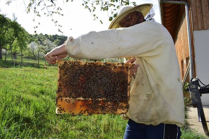 Gîte pour 3 personnes, avec terrasse et jardin, adapté aux familles à Owingen - 2