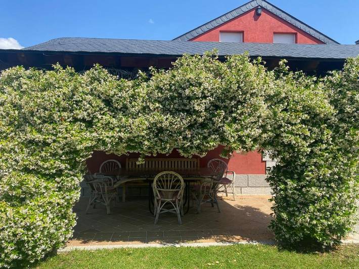 Casa de vacaciones para 20 personas, con piscina en Provincia de Ávila - 4