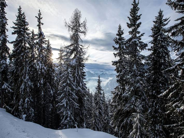 Villa für 4 Personen mit Garten in Betten, Aletsch Arena