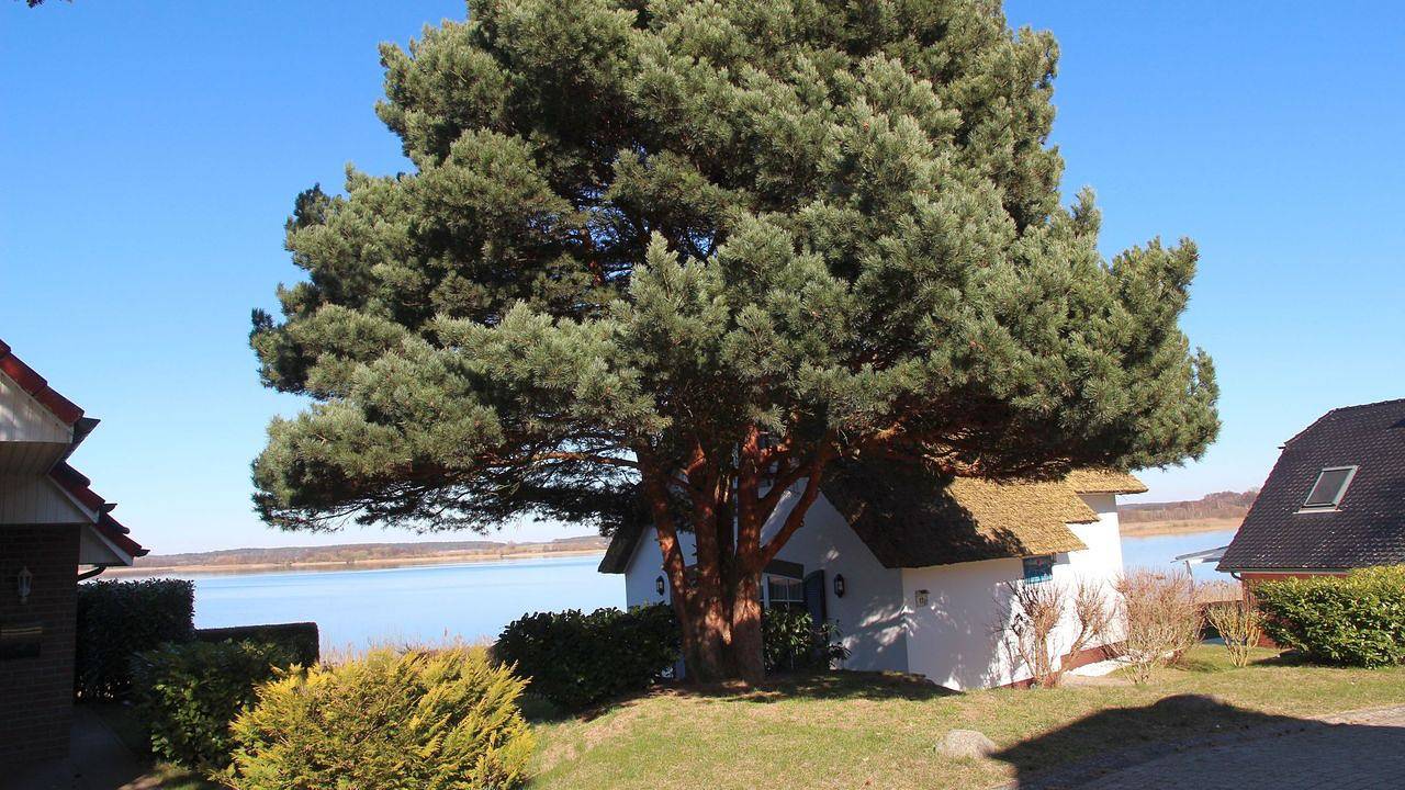 Ferienhaus für 4 Personen (75 m²) in Sternberg in Sternberg, Ludwigslust-Parchim