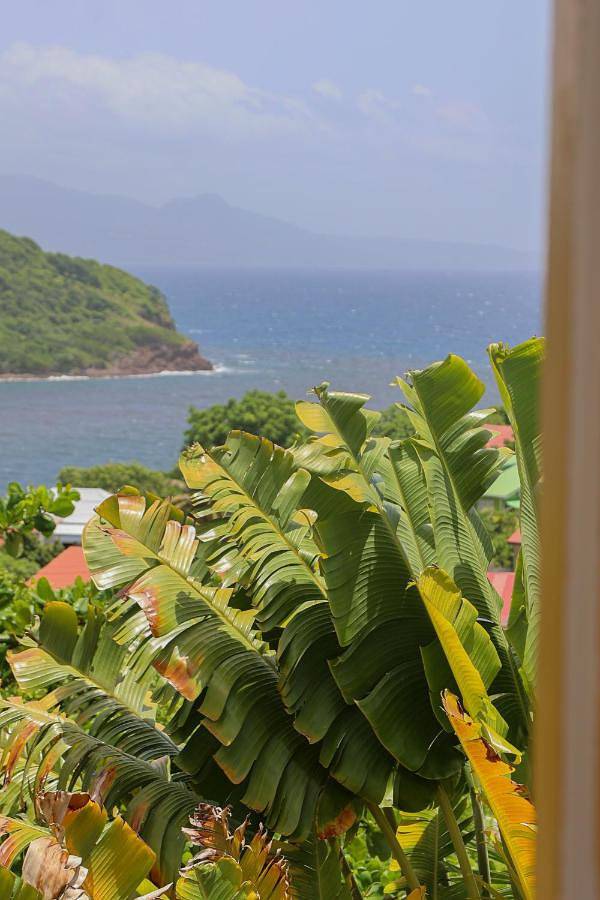 Location de vacances pour 4 personnes, avec jardin et vue à Terre-de-Bas - 2