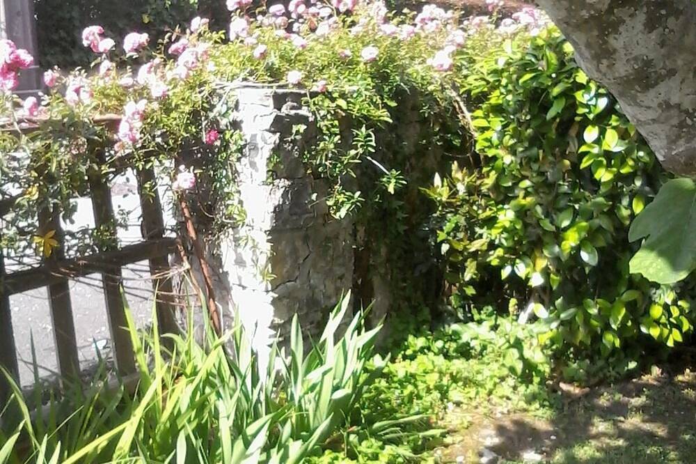 Maison de campagne situe a 5km de biarritz in Bassussarry, Région de Bayonne