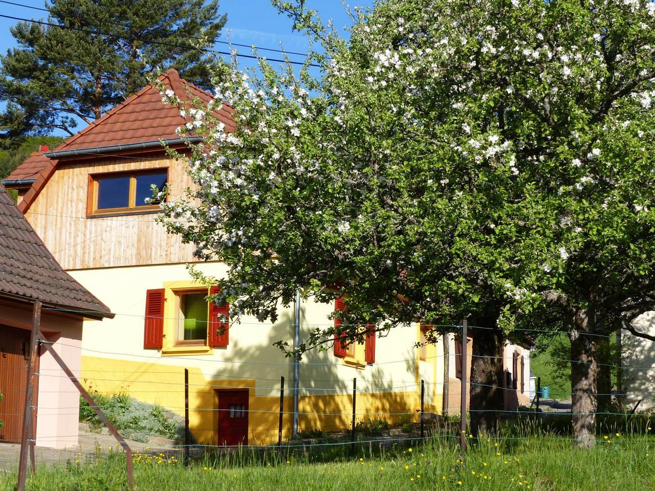 Gîte Saint-Michel in Bourbach-le-Haut, Parc naturel régional des Ballons des Vosges