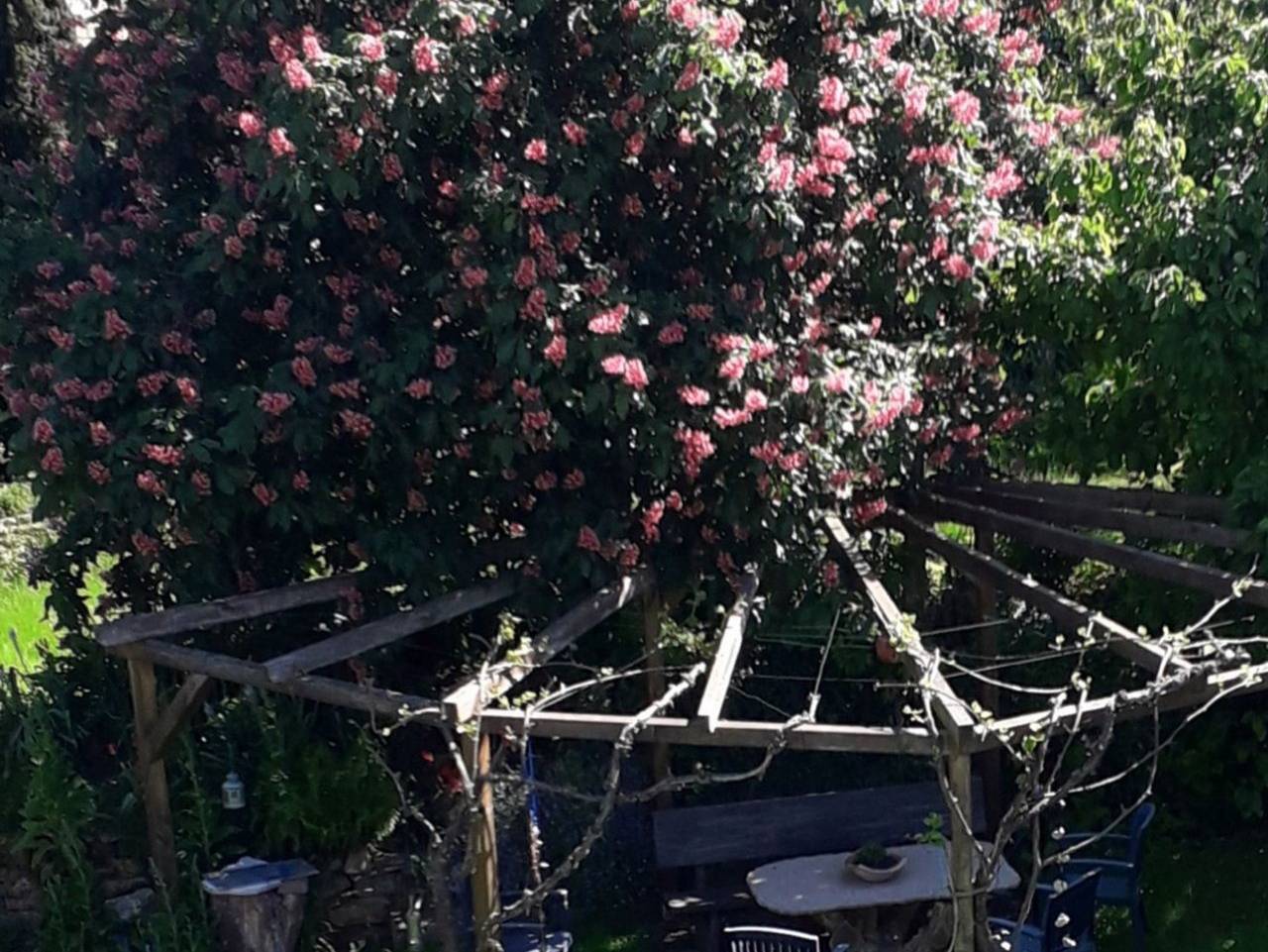 Ganze Ferienwohnung, Ferienwohnung am Nationalpark in Affoldern, Edertal