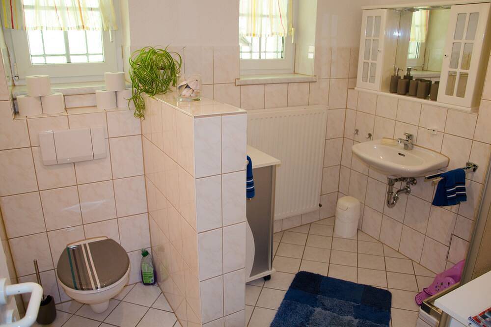 Ganze Wohnung, Ferienhaus Lütsche - direkt am Stausee im Thüringer Wald in Frankenhain, Rennsteig