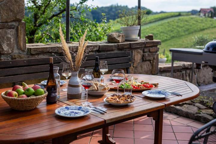 Location de vacances pour 8 personnes, avec vue ainsi que jardin et terrasse, animaux acceptés dans Ormož - 4